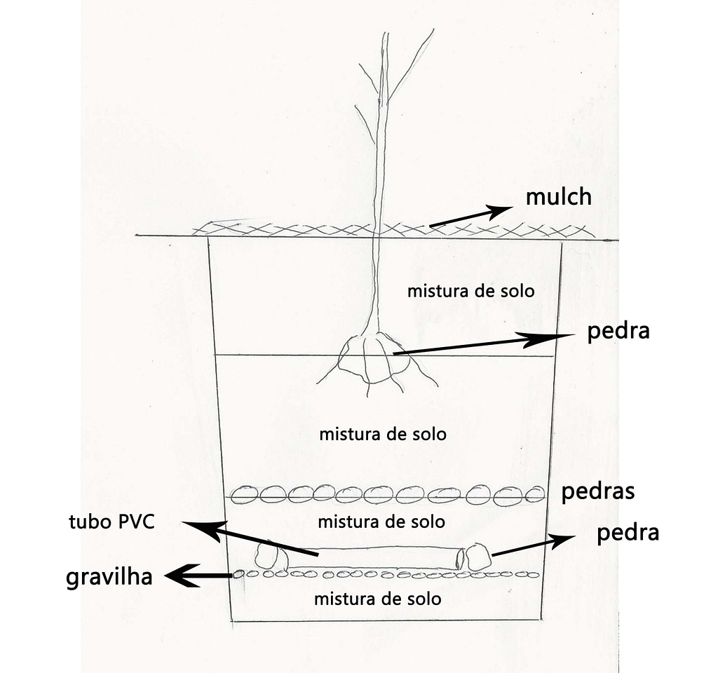 método para plantar árvores de fruto
