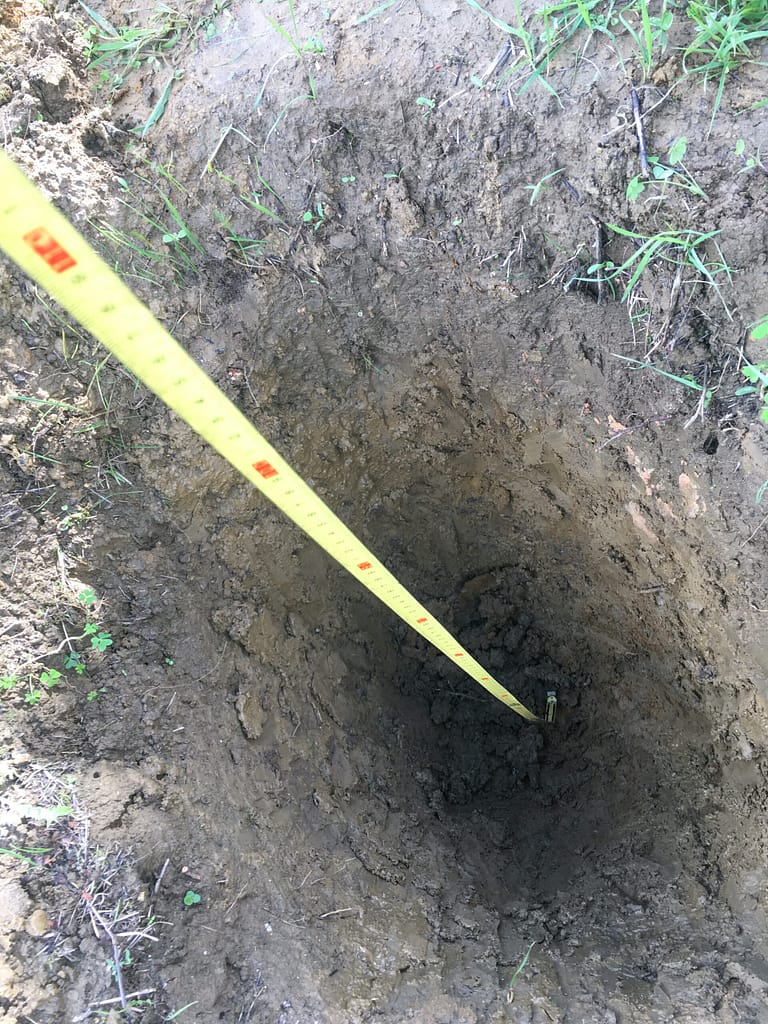 Método para plantar árvores