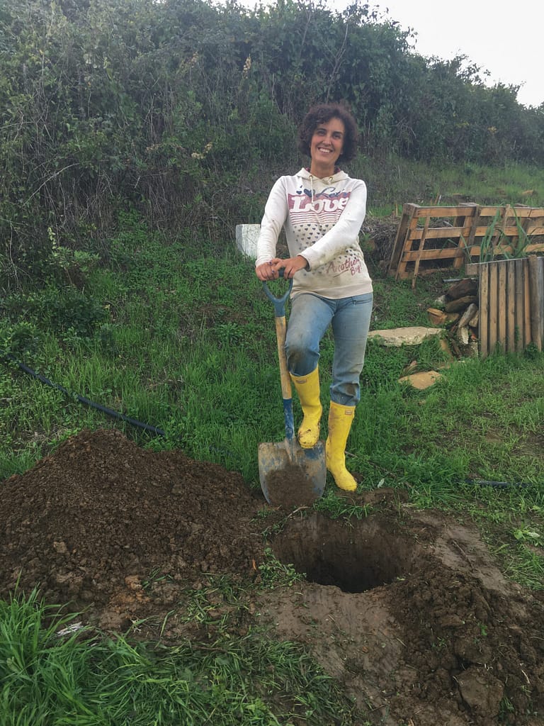 Método para plantar árvores