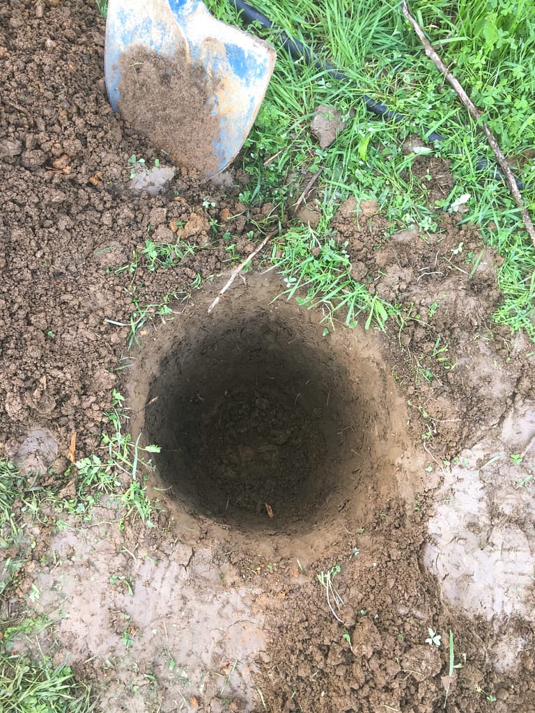 Método para plantar árvores