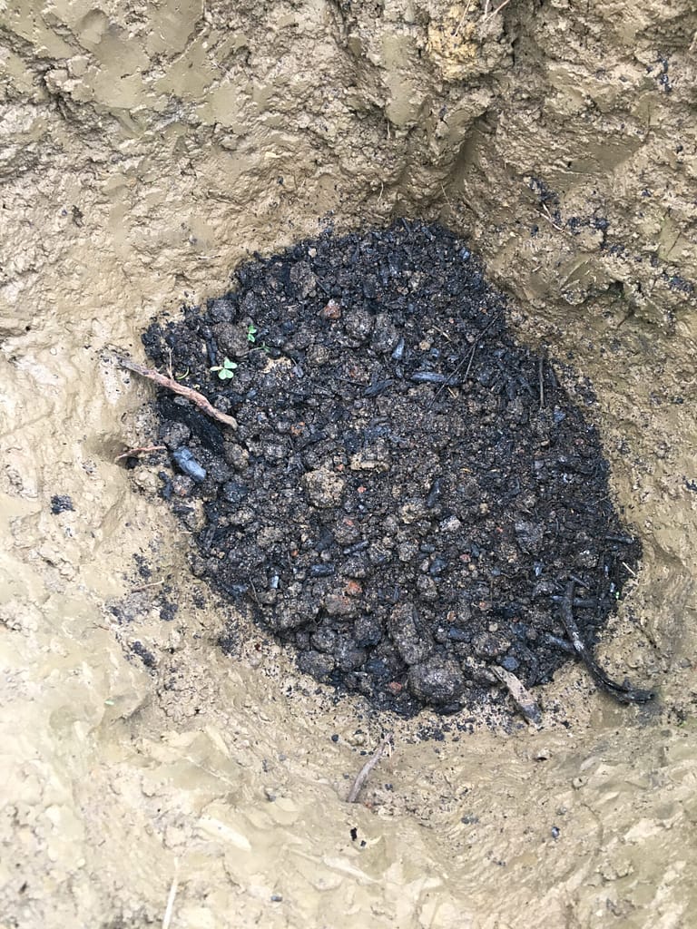 método para plantar árvores de fruto