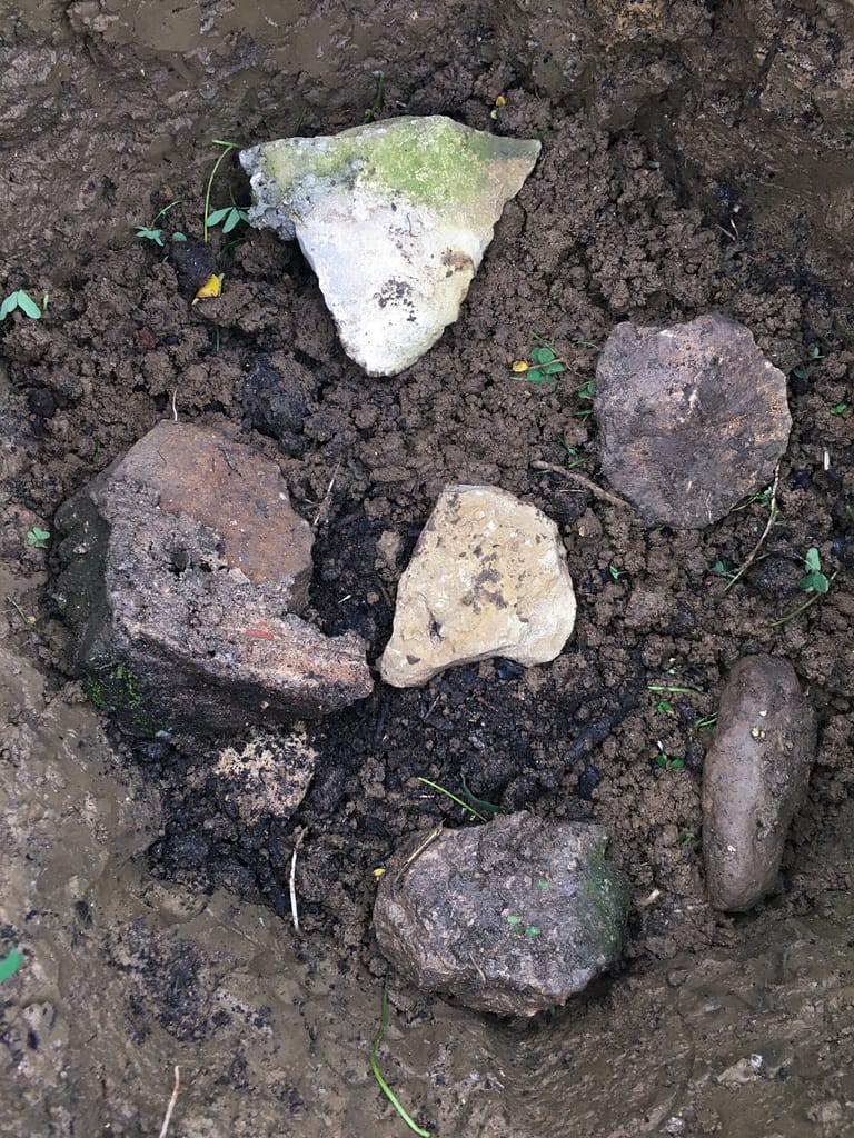 método para plantar árvores de fruta